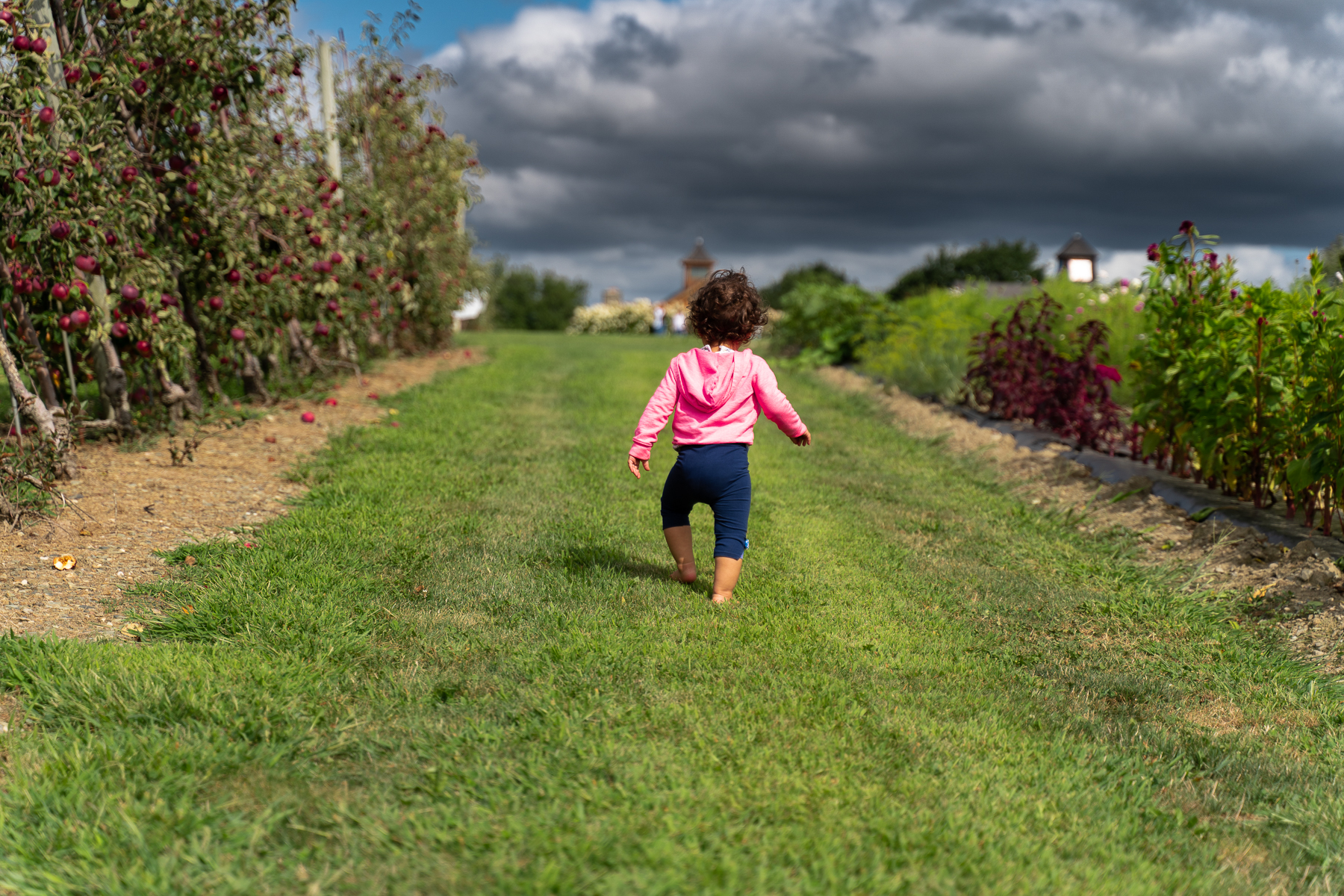 Sweet Berry Farm, Middletown, Rhode Island