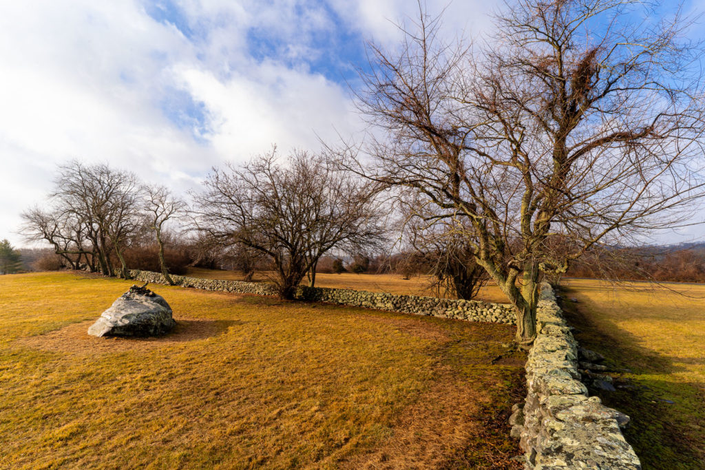 Trees and a wall in Narragansett, RI. 